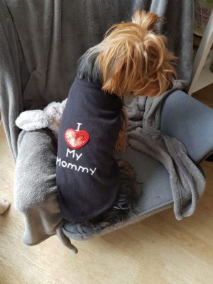 Noé portant son t-shirt pour chien "J'aime ma maman" Taille L